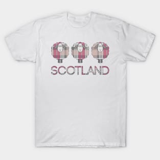 Trio of Scottish Pink, White and Grey Tartan Patterned Sheep T-Shirt